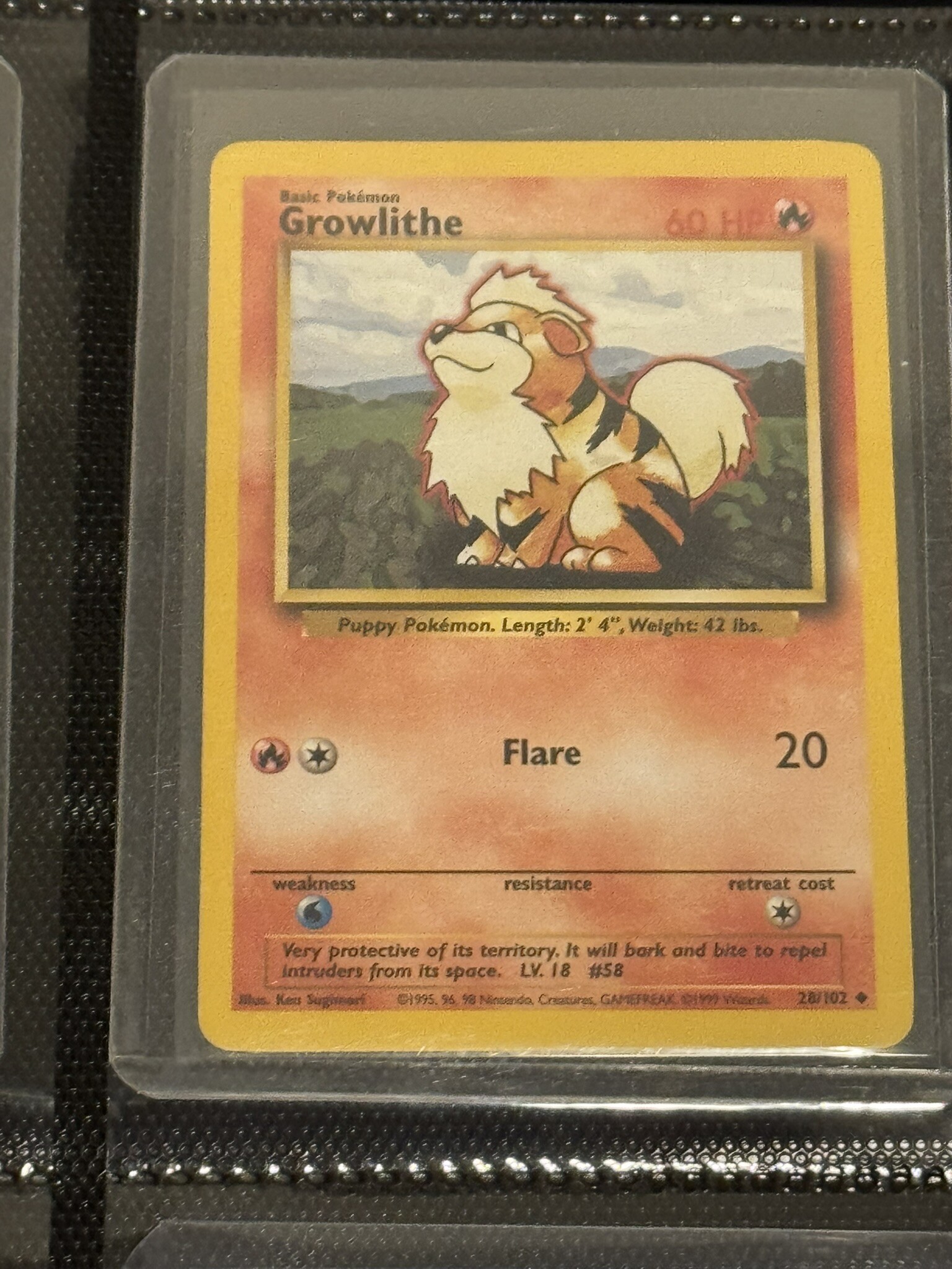 Growlithe