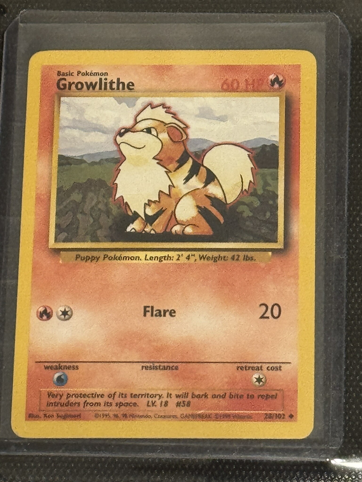 Growlithe