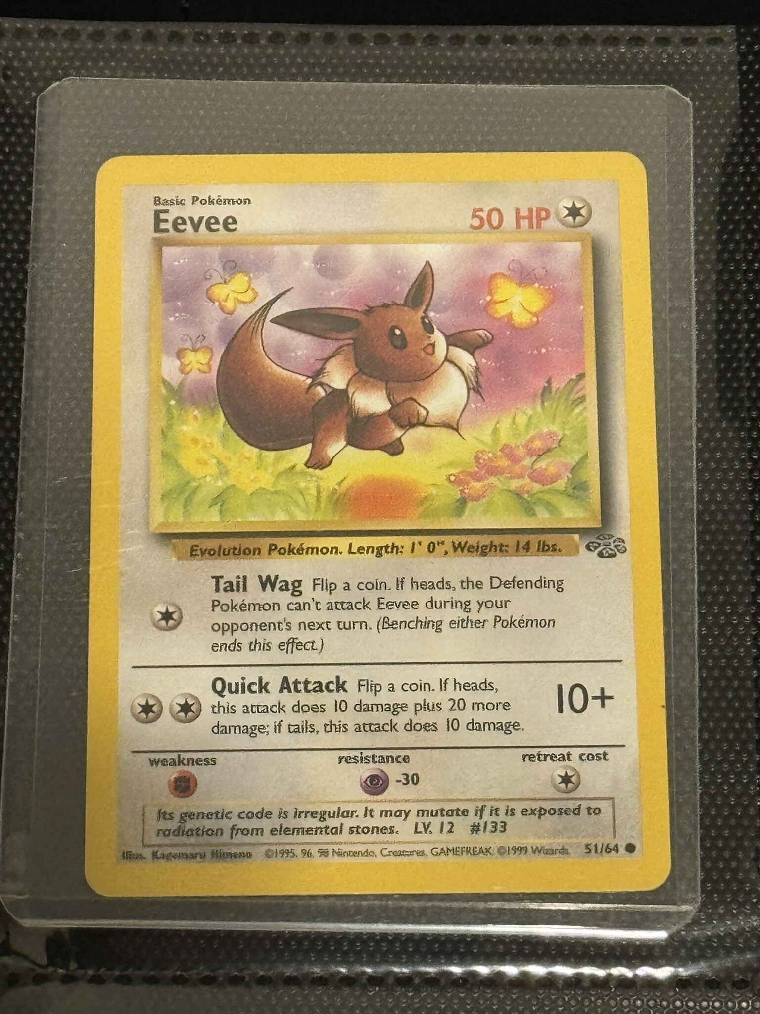 Eevee