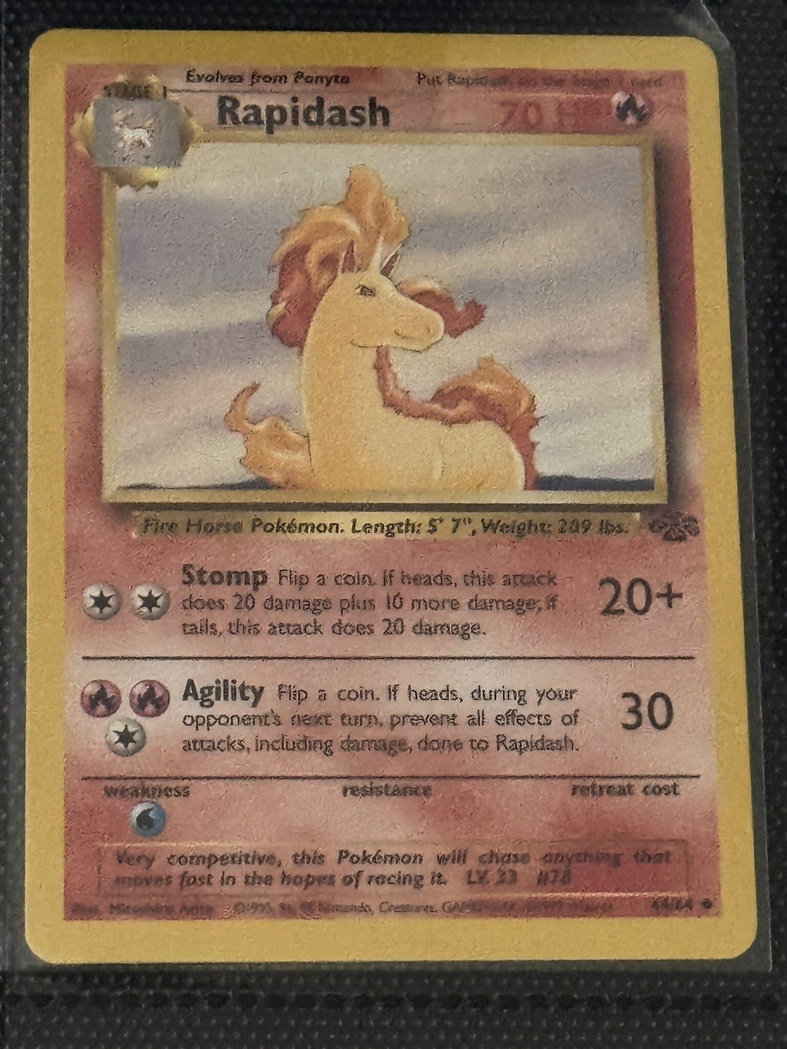 Rapidash