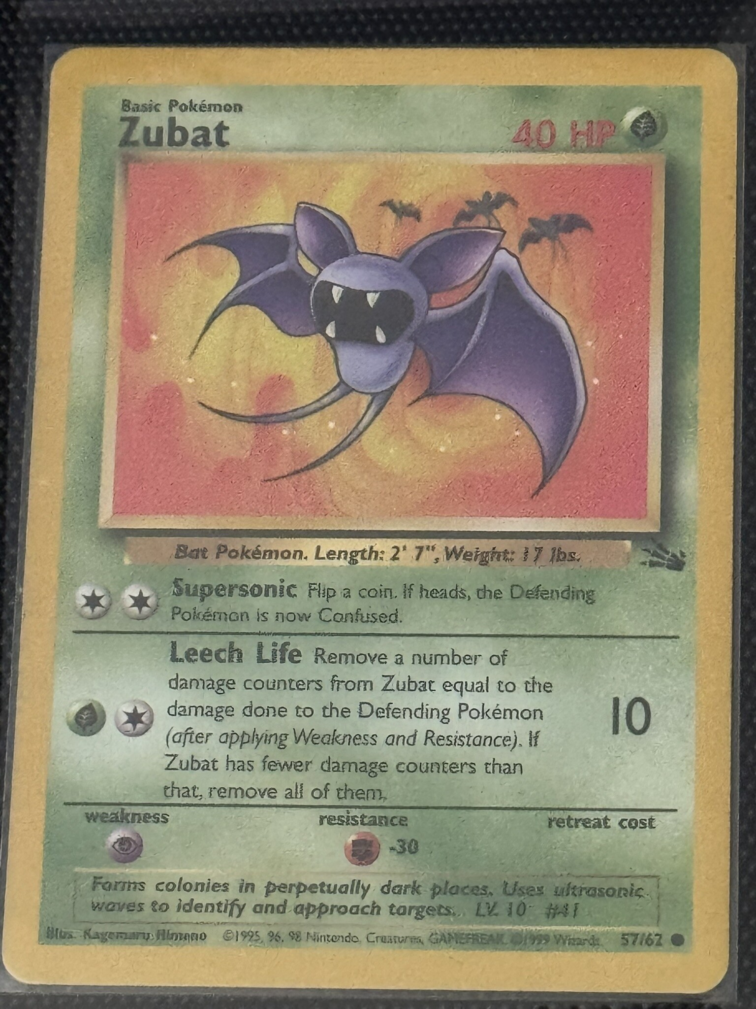 Zubat