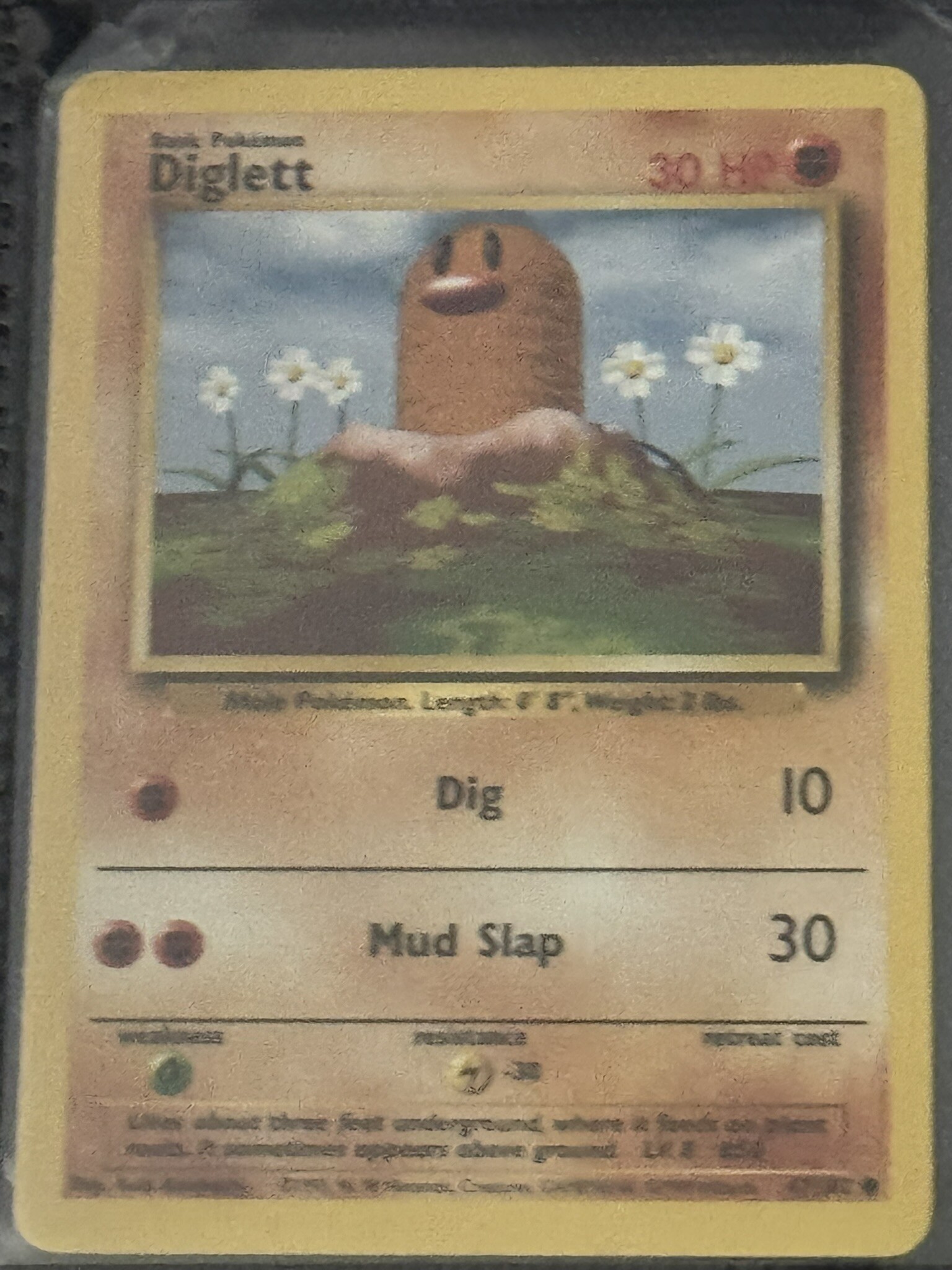 Diglett