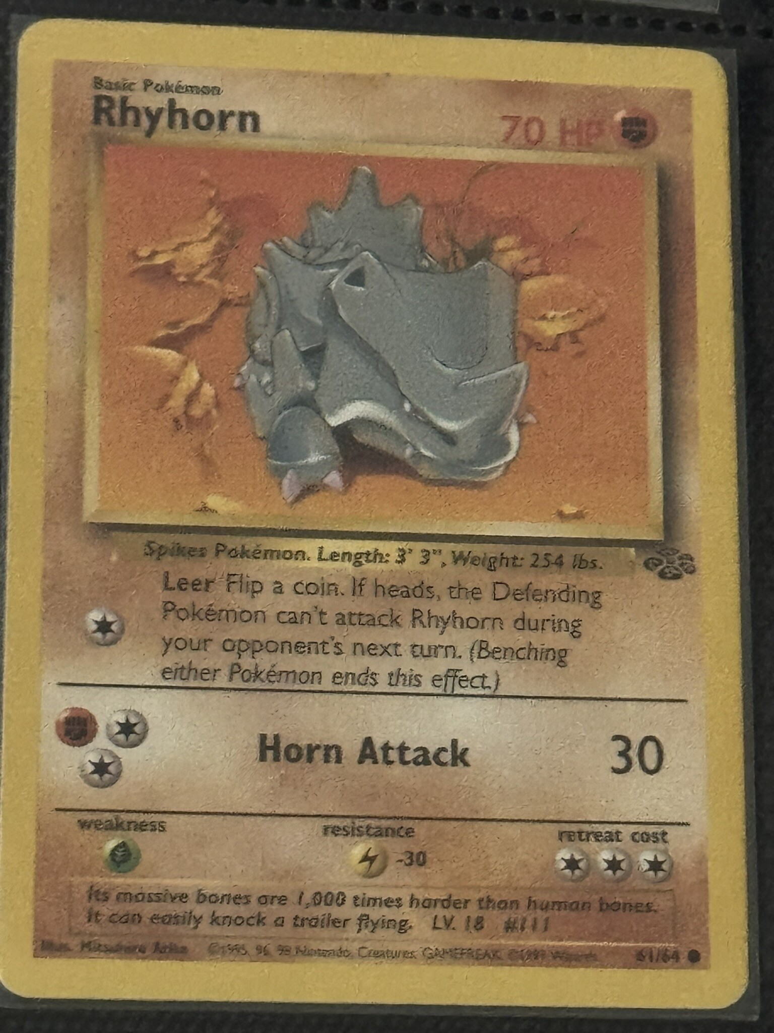 Rhyhorn